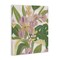 Stupell Industries Pale Trillium & Leaves Canvas Wall Art Design by June Erica Vess